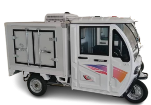 Janus Ice Keke Electric Tricycle