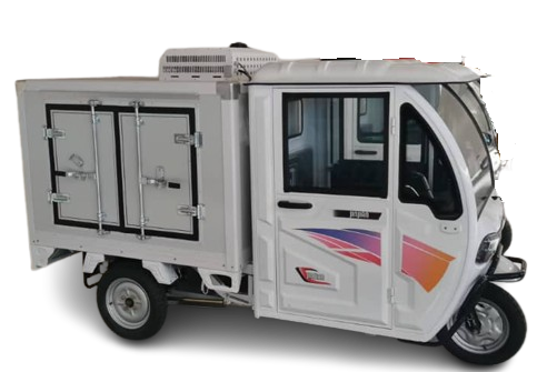 Janus Ice Keke Electric Tricycle